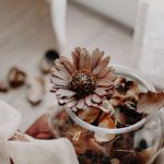 Why Scents Make the Perfect Gift for Every Occasion