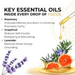 Essential Oils That Help with Focus and Clarity Unleashed