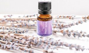 Top Essential Oils for Relaxation Unwind Naturally