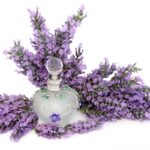 Best Scents for Meditation and Mindfulness Awaken Your Senses