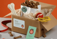How to Use Packaging Inserts to Sell More Sculpting Products Effectively